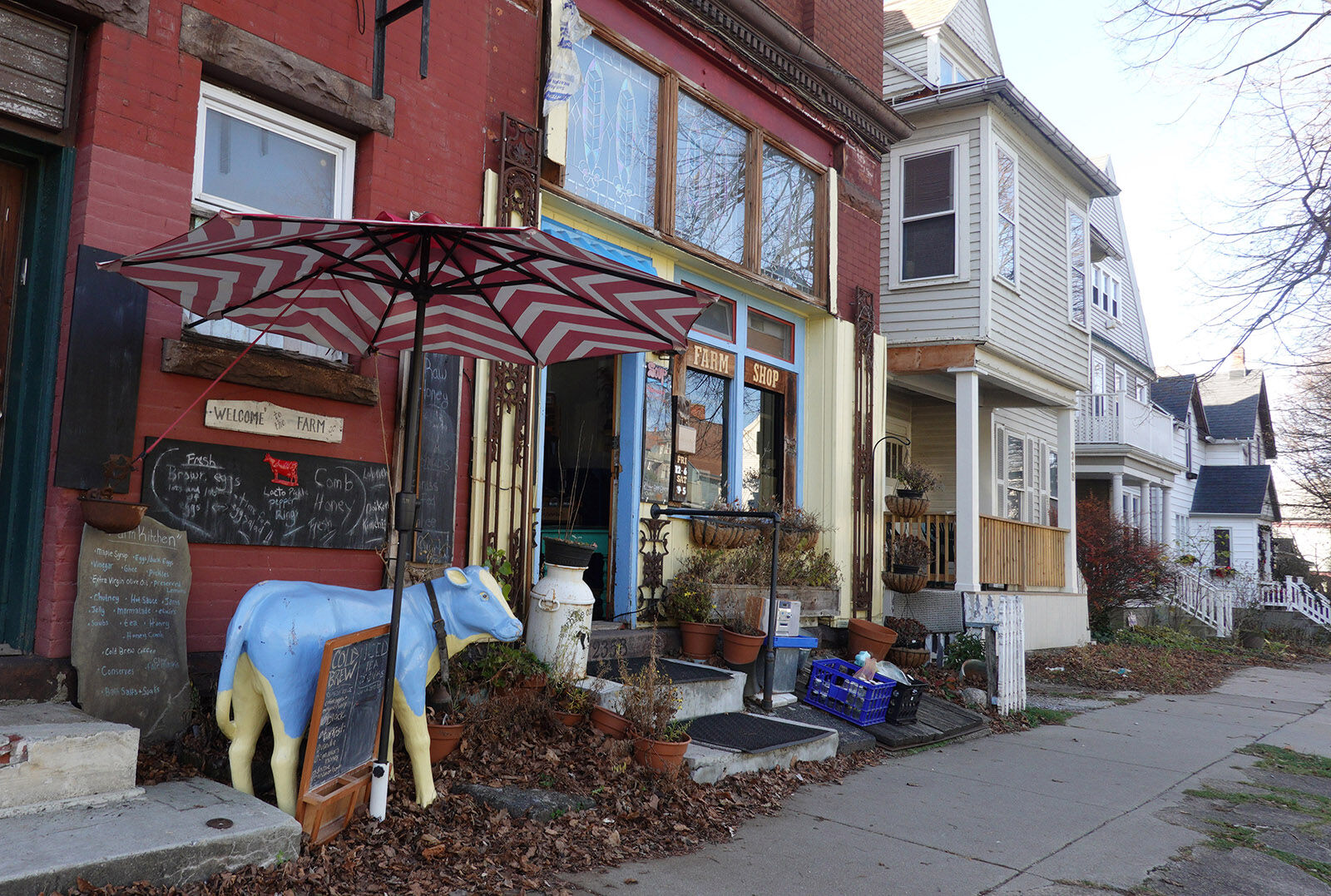 White Cow Dairy & farm shop